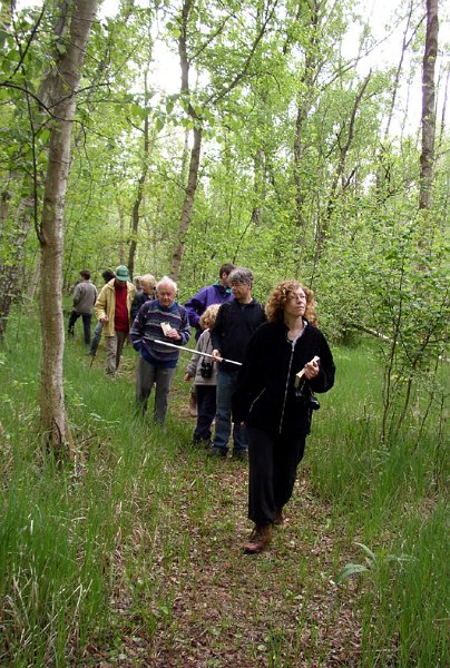 2009 Marais de la Voise 04